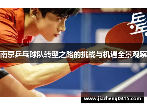 南京乒乓球队转型之路的挑战与机遇全景观察